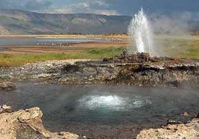 Bogoria geysers