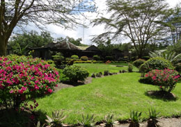 Lake Naivasha resort