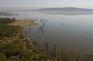 Lake Nakuru view