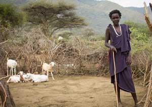 Pokot herder