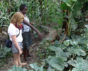 Farm explanation