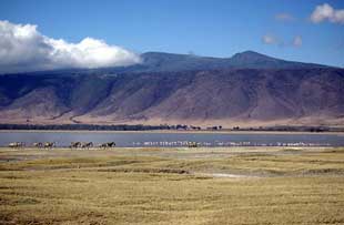 Ngorongoro Crater floor