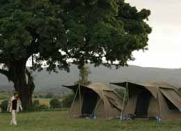 serengeti camp